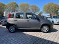 Fiat Panda 1.0 FireFly S&S Hybrid Easy #VARI.COLORI Gris - thumbnail 5