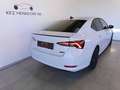 Skoda Octavia Style 4x4 DSG ab € 330 / Monat Weiß - thumbnail 6