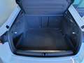 Skoda Octavia Style 4x4 DSG ab € 330 / Monat Weiß - thumbnail 11