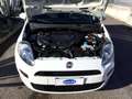 Fiat Punto 1.3 MJT 75CV 3 porte Van Weiß - thumbnail 7