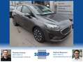 Ford Fiesta Titanium M-HEV Sofort verfügbar Grey - thumbnail 1
