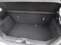 Ford Fiesta Titanium M-HEV Sofort verfügbar Grey - thumbnail 11