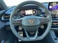 CUPRA Terramar 1.5 eTSI 110 kW (150 PS) 7-Gang-DSG Bleu - thumbnail 14
