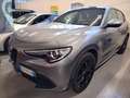 Alfa Romeo Stelvio 2.2 Turbodiesel 210 CV AT8 Q4 Veloce Gris - thumbnail 2