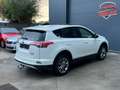 Toyota RAV 4 2.5 Hybrid Executive Automaat – 1ste eigenaar Blanc - thumbnail 5