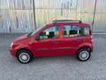 Fiat Panda Panda 1.2 Dynamic Natural Power Mamy Rosso - thumbnail 4
