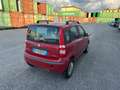 Fiat Panda Panda 1.2 Dynamic Natural Power Mamy Rosso - thumbnail 6
