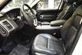 Land Rover Range Rover Sport 3.0SDV6 SE Aut. 249 Blanco - thumbnail 25
