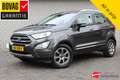 Ford EcoSport 1.0 EcoBoost Titanium | Automaat | Trekhaak | Crui Grijs - thumbnail 1