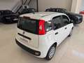 Fiat Panda 1.2 Gpl 69cv Bianco - thumbnail 13