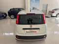 Fiat Panda 1.2 Gpl 69cv Bianco - thumbnail 14