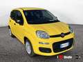 Fiat Panda New 1.0 70cv Hybrid Panda Giallo - thumbnail 2