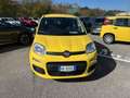 Fiat Panda New 1.0 70cv Hybrid Panda Giallo - thumbnail 7