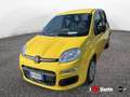 Fiat Panda New 1.0 70cv Hybrid Panda Giallo - thumbnail 1