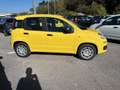 Fiat Panda New 1.0 70cv Hybrid Panda Giallo - thumbnail 6