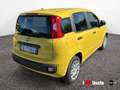 Fiat Panda New 1.0 70cv Hybrid Panda Giallo - thumbnail 3