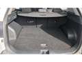 Kia Sportage 1.6 T-GDi HEV 171kW (230CV) Drive 4x2 Blanco - thumbnail 10