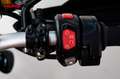 Triumph Scrambler - thumbnail 16