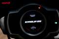 Triumph Scrambler - thumbnail 12