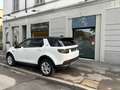 Land Rover Discovery Sport 2.0 td4 MHEV SE AWD 163cv auto*SERVICE UFFICIALE* Blanc - thumbnail 7