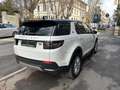 Land Rover Discovery Sport 2.0 td4 MHEV SE AWD 163cv auto*SERVICE UFFICIALE* Blanc - thumbnail 5