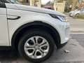 Land Rover Discovery Sport 2.0 td4 MHEV SE AWD 163cv auto*SERVICE UFFICIALE* Blanc - thumbnail 4