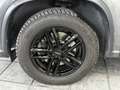 Volkswagen Tiguan 2.0 TDI 4Motion R-Line, DSG, Kamera, AHK Grau - thumbnail 22