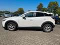 Mazda CX-3 2.0 Skyactiv G150 Exclusive-Line AWD Allrad Blanc - thumbnail 10