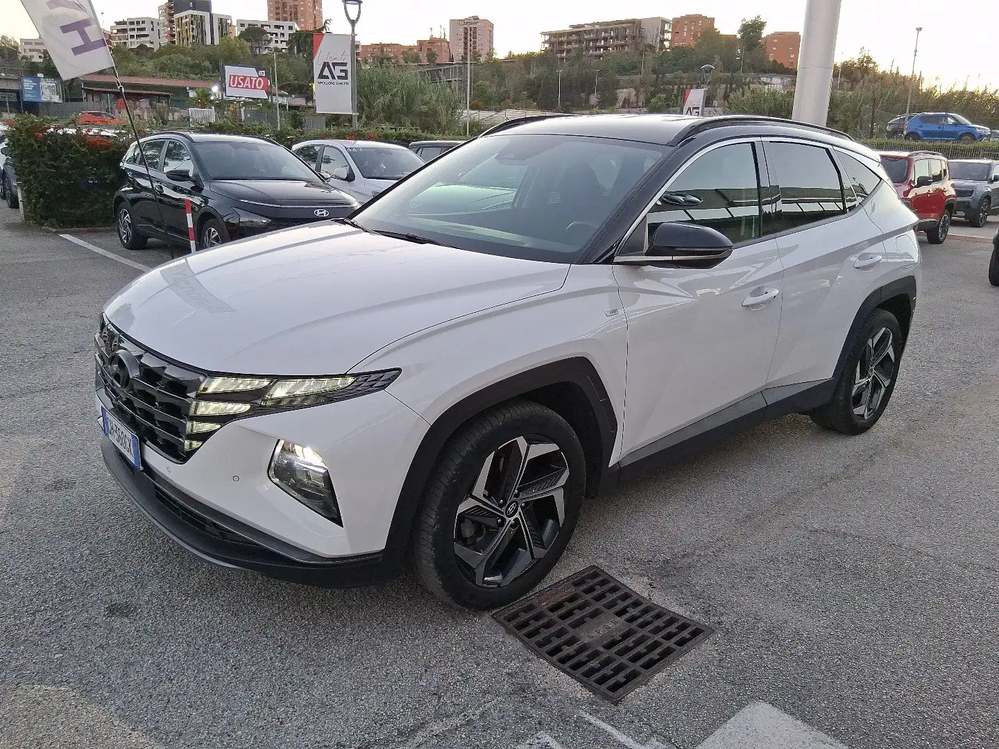 Hyundai TUCSON Tucson 1.6 CRDI 48V DCT Exellence Blanc - 1