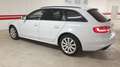 Audi A4 A4 Avant 2.0 TDI S-LINE Quattro 177cv S-Tronic Bianco - thumbnail 5