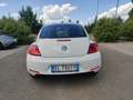 Volkswagen Maggiolino Maggiolino 1.6 tdi Design 105cv Blanc - thumbnail 4