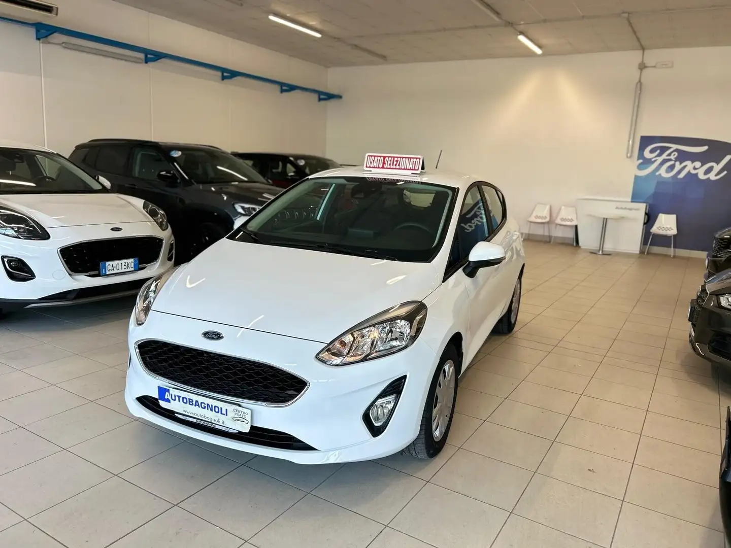 Ford Fiesta PLUS 1.1 85 CV 5 porte 32000 KM Blanco - 2