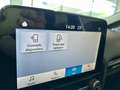 Ford Fiesta PLUS 1.1 85 CV 5 porte 32000 KM Blanco - thumbnail 11