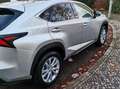 Lexus NX 300h NX+300h+E-FOUR+Executive-Line Silber - thumbnail 20