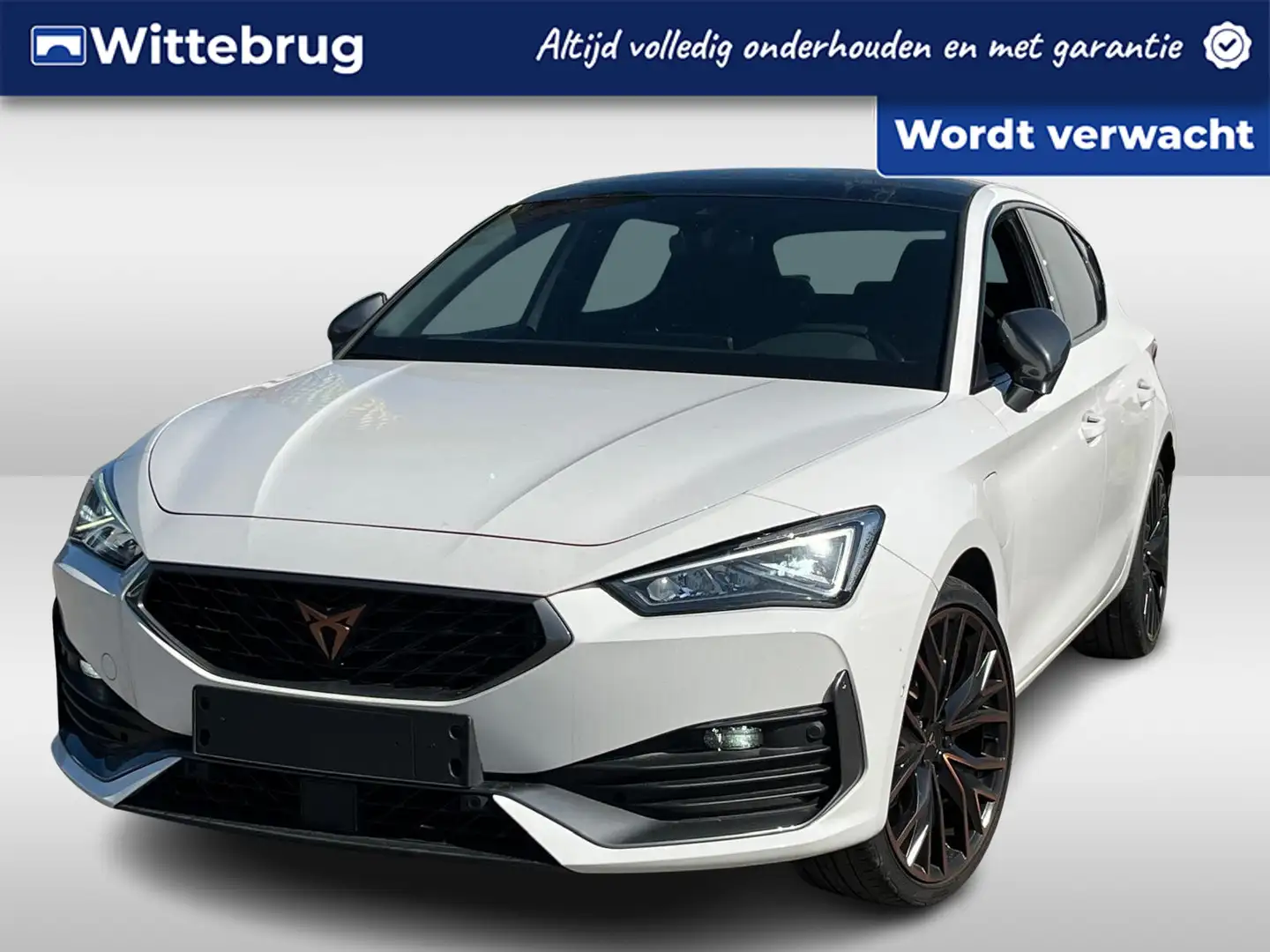 CUPRA Leon 1.4 e-Hybrid 245pk DSG VZ Performance / Panorama d Wit - 1