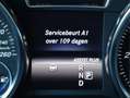Mercedes-Benz GLE 250 D Euro 6 - Grijskenteken incl. interieur - 1ste Ei Grijs - thumbnail 22