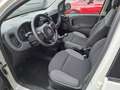 Fiat Panda 1.2 Easy Van 4 posti Bianco - thumbnail 12