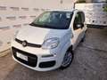 Fiat Panda 1.2 Easy Van 4 posti Bianco - thumbnail 4