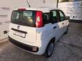 Fiat Panda 1.2 Easy Van 4 posti Bianco - thumbnail 10