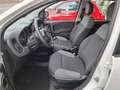 Fiat Panda 1.2 Easy Van 4 posti Bianco - thumbnail 13