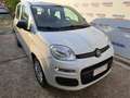 Fiat Panda 1.2 Easy Van 4 posti Bianco - thumbnail 6