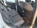 Fiat Panda 1.2 Easy Van 4 posti Bianco - thumbnail 15
