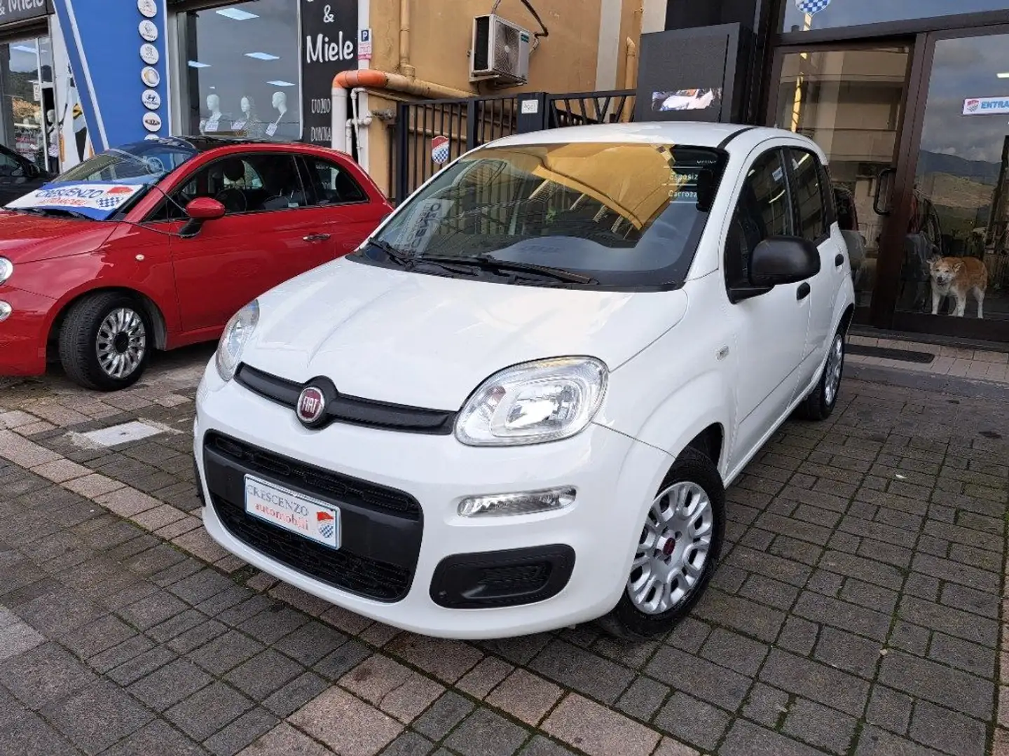Fiat Panda 1.2 Easy Van 4 posti Bianco - 1