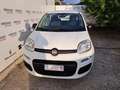 Fiat Panda 1.2 Easy Van 4 posti Bianco - thumbnail 5