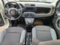 Fiat Panda 1.2 Easy Van 4 posti Bianco - thumbnail 11