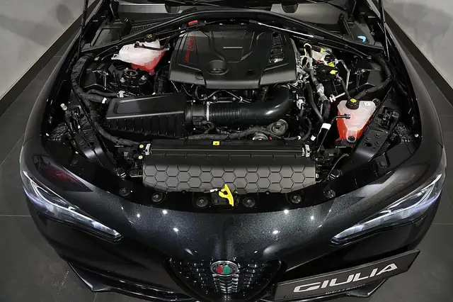 Alfa Romeo Giulia 2.0 16V 280 AT8 Q4 Veloce W-EDIZIONE Ansicht 28