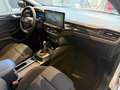 Ford Focus Focus 1.0 EcoBoost Hybrid 125 CV 5p. ST-Line X Argent - thumbnail 20