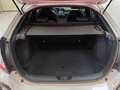Honda Civic 5P 1.5 T SPORT + Wit - thumbnail 14