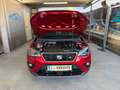 SEAT Arona FR Braun - thumbnail 4