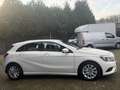 Mercedes-Benz A 180 Ambition Navi / Xenon White - thumbnail 3